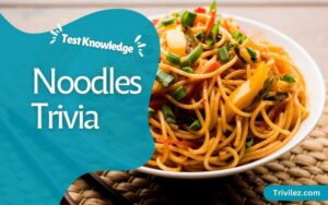 28 Noodles Trivia Questions and Answers